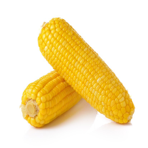 Maize