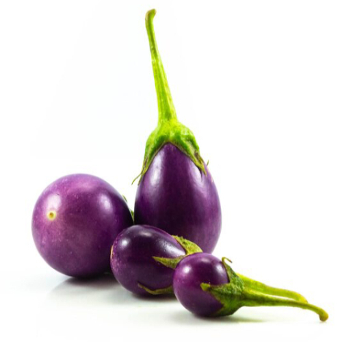 Brinjal