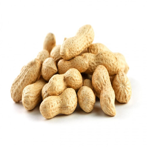 Groundnut